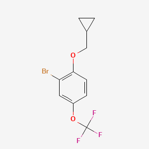 molecular formula C11H10BrF3O2 B8128788 2-Bromo-1-cyclopropylmethoxy-4-trifluoromethoxy-benzene 