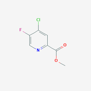 molecular formula C7H5ClFNO2 B8129022 Methyl 4-chloro-5-fluoropicolinate 