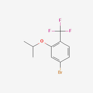 molecular formula C10H10BrF3O B8129110 4-Bromo-2-propan-2-yloxy-1-(trifluoromethyl)benzene 