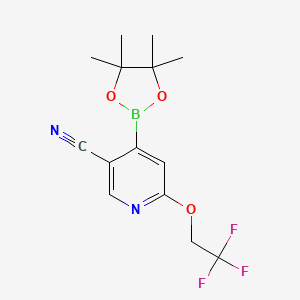 molecular formula C14H16BF3N2O3 B8129631 4-(TEtramethyl-1,3,2-dioxaborolan-2-yl)-6-(2,2,2-trifluoroethoxy)pyridine-3-carbonitrile 