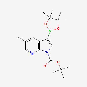 molecular formula C19H27BN2O4 B8129645 tert-Butyl 5-methyl-3-(4,4,5,5-tetramethyl-1,3,2-dioxaborolan-2-yl)-1H-pyrrolo[2,3-b]pyridine-1-carboxylate 