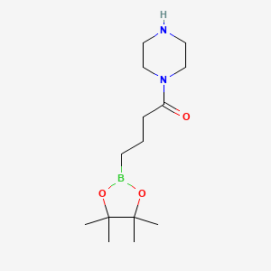molecular formula C14H27BN2O3 B8129685 1-Piperazin-1-yl-4-(4,4,5,5-tetramethyl-1,3,2-dioxaborolan-2-yl)butan-1-one 