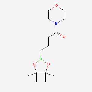 molecular formula C14H26BNO4 B8129687 1-Morpholin-4-yl-4-(4,4,5,5-tetramethyl-1,3,2-dioxaborolan-2-yl)butan-1-one 