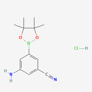 molecular formula C13H18BClN2O2 B8129765 3-Amino-5-(tetramethyl-1,3,2-dioxaborolan-2-yl)benzonitrile, HCl 
