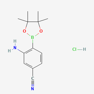 molecular formula C13H18BClN2O2 B8129770 3-amino-4-(tetramethyl-1,3,2-dioxaborolan-2-yl)benzonitrile, HCl 