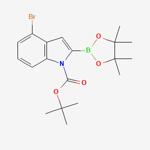 molecular formula C19H25BBrNO4 B8129808 1-BOC-4-bromoindole-2-boronic acid pinacol ester 