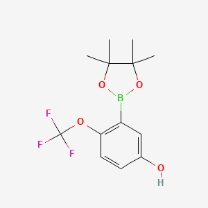 molecular formula C13H16BF3O4 B8129842 3-(4,4,5,5-Tetramethyl-1,3,2-dioxaborolan-2-yl)-4-(trifluoromethoxy)phenol 