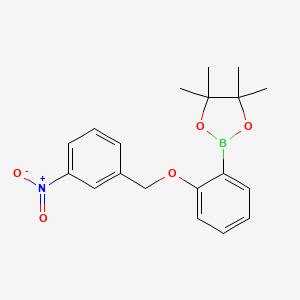 molecular formula C19H22BNO5 B8129945 4,4,5,5-Tetramethyl-2-[2-(3-nitrobenzyloxy)-phenyl]-[1,3,2]dioxaborolane 