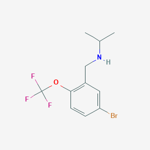 molecular formula C11H13BrF3NO B8130122 (5-Bromo-2-trifluoromethoxybenzyl)-isopropylamine 
