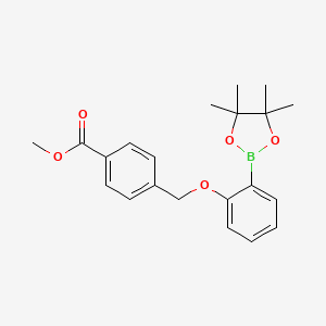molecular formula C21H25BO5 B8130185 4-[2-(4,4,5,5-Tetramethyl-[1,3,2]dioxaborolan-2-yl)-phenoxymethyl]-benzoic acid methyl ester 