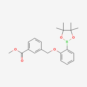 molecular formula C21H25BO5 B8130486 3-[2-(4,4,5,5-Tetramethyl-[1,3,2]dioxaborolan-2-yl)-phenoxymethyl]-benzoic acid methyl ester 