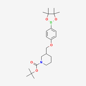 3-[4-(4,4,5,5-Tetramethyl-[1,3,2]dioxaborolan-2-yl)-phenoxymethyl]-piperidine-1-carboxylic acid tert-butyl ester
