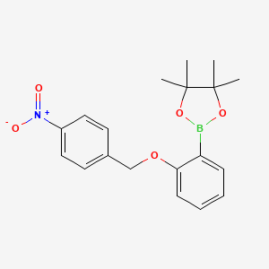 molecular formula C19H22BNO5 B8130726 4,4,5,5-Tetramethyl-2-[2-(4-nitrobenzyloxy)-phenyl]-[1,3,2]dioxaborolane 