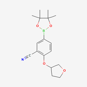 molecular formula C17H22BNO4 B8130730 2-((Tetrahydrofuran-3-yl)oxy)-5-(4,4,5,5-tetramethyl-1,3,2-dioxaborolan-2-yl)benzonitrile 
