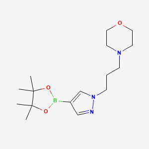 molecular formula C16H28BN3O3 B8130780 4-(3-(4-(4,4,5,5-Tetramethyl-1,3,2-dioxaborolan-2-yl)-1H-pyrazol-1-yl)propyl)morpholine 