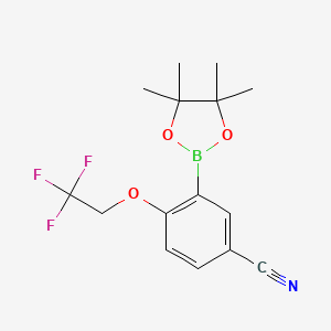 molecular formula C15H17BF3NO3 B8131322 3-(4,4,5,5-Tetramethyl-[1,3,2]dioxaborolan-2-yl)-4-(2,2,2-trifluoroethoxy)-benzonitrile 