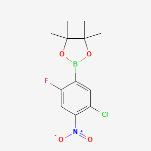 molecular formula C12H14BClFNO4 B8131497 2-(5-Chloro-2-fluoro-4-nitrophenyl)-4,4,5,5-tetramethyl-1,3,2-dioxaborolane 