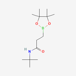 molecular formula C13H26BNO3 B8131602 N-tert-butyl-3-(4,4,5,5-tetramethyl-1,3,2-dioxaborolan-2-yl)propanamide 