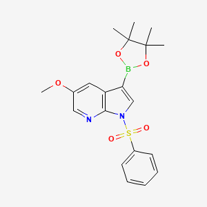 molecular formula C20H23BN2O5S B8131682 5-Methoxy-1-(phenylsulfonyl)-3-(4,4,5,5-tetramethyl-1,3,2-dioxaborolan-2-yl)-1H-pyrrolo[2,3-b]pyridine 