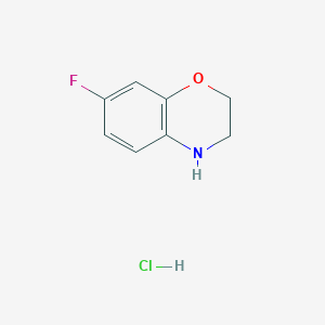 molecular formula C8H9ClFNO B8131835 7-Fluoro-3,4-dihydro-2H-benzo[b][1,4]oxazine hydrochloride 