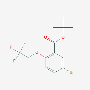 molecular formula C13H14BrF3O3 B8132839 tert-Butyl 5-bromo-2-(2,2,2-trifluoroethoxy)benzoate 