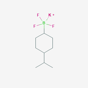 molecular formula C9H17BF3K B8134179 Potassium 4-(propan-2-yl)cyclohexyltrifluoroborate 