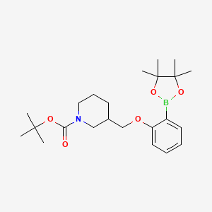 molecular formula C23H36BNO5 B8134726 3-[2-(4,4,5,5-Tetramethyl-[1,3,2]dioxaborolan-2-yl)-phenoxymethyl]-piperidine-1-carboxylic acid tert-butyl ester 