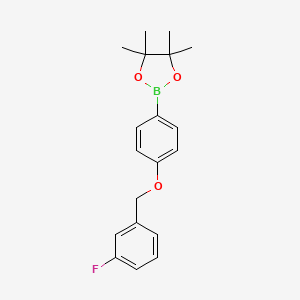 molecular formula C19H22BFO3 B8134853 2-[4-(3-Fluorobenzyloxy)-phenyl]-4,4,5,5-tetramethyl-[1,3,2]dioxaborolane 