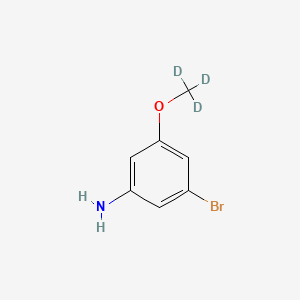 molecular formula C7H8BrNO B8135043 3-Bromo-5-(trideuteriomethoxy)aniline 