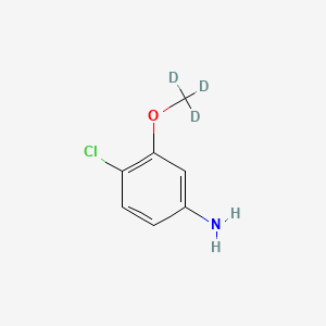 molecular formula C7H8ClNO B8135048 4-Chloro-3-(trideuteriomethoxy)aniline 