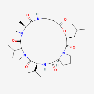 molecular formula C29H49N5O7 B8135471 cyclo[N(Me)Ala-bAla-D-OLeu-Pro-Val-DL-N(Me)Val] 