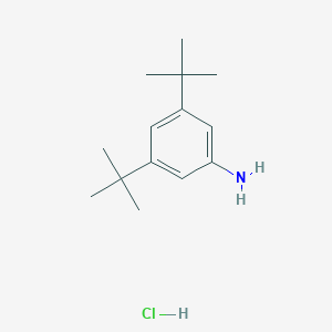 molecular formula C14H24ClN B8135775 3,5-DI-Tert-butylaniline hydrochloride 