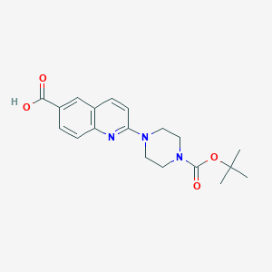 molecular formula C19H23N3O4 B8135778 2-(4-(tert-Butoxycarbonyl)piperazin-1-yl)quinoline-6-carboxylic acid 