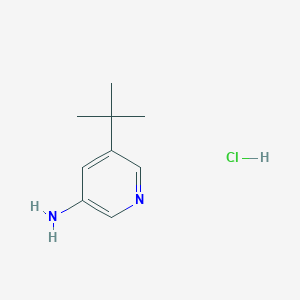 molecular formula C9H15ClN2 B8135837 5-(tert-Butyl)pyridin-3-amine hydrochloride 