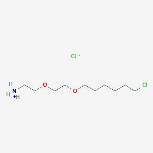 molecular formula C10H23Cl2NO2 B8135876 2-[2-(6-Chloro-hexyloxy)-ethoxy]-ethyl-ammonium chloride 