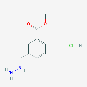 molecular formula C9H13ClN2O2 B8135965 Methyl 3-(hydrazinylmethyl)benzoate hydrochloride 