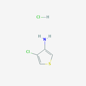 molecular formula C4H5Cl2NS B8136030 4-Chlorothiophen-3-amine hydrochloride 