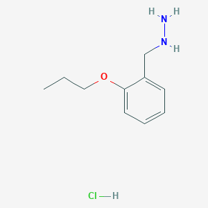 molecular formula C10H17ClN2O B8136695 (2-Propoxybenzyl)hydrazine hydrochloride 