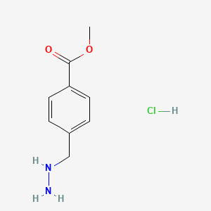 molecular formula C9H13ClN2O2 B8136717 Methyl 4-(hydrazinomethyl)benzoate hydrochloride 