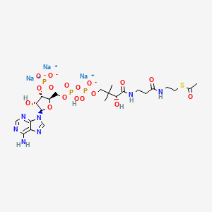molecular formula C23H35N7Na3O17P3S B8137028 trisodium;[(2R,3S,4R,5R)-2-[[[[(3R)-4-[[3-(2-acetylsulfanylethylamino)-3-oxopropyl]amino]-3-hydroxy-2,2-dimethyl-4-oxobutoxy]-oxidophosphoryl]oxy-hydroxyphosphoryl]oxymethyl]-5-(6-aminopurin-9-yl)-4-hydroxyoxolan-3-yl] phosphate 