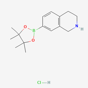 molecular formula C15H23BClNO2 B8137681 1,2,3,4-Tetrahydro-isoquinoline-7-boronic acid pinacol ester hydrochloride 