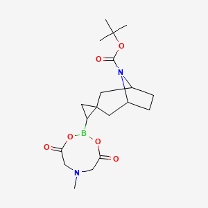 molecular formula C19H29BN2O6 B8138136 Tert-butyl 2'-(6-methyl-4,8-dioxo-1,3,6,2-dioxazaborocan-2-yl)spiro[8-azabicyclo[3.2.1]octane-3,1'-cyclopropane]-8-carboxylate 
