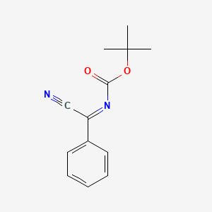 molecular formula C13H14N2O2 B8140346 tert-butyl (NZ)-N-[cyano(phenyl)methylidene]carbamate 