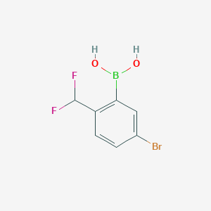 molecular formula C7H6BBrF2O2 B8143068 [5-Bromo-2-(difluoromethyl)phenyl]boronic acid 
