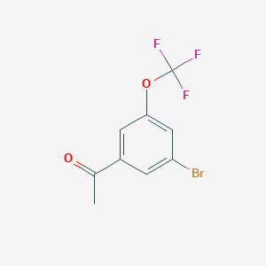 molecular formula C9H6BrF3O2 B8143138 1-[3-Bromo-5-(trifluoromethoxy)phenyl]ethan-1-one 