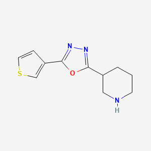 molecular formula C11H13N3OS B8143522 3-[5-(Thiophen-3-yl)-1,3,4-oxadiazol-2-yl]piperidine 