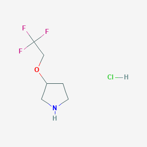 molecular formula C6H11ClF3NO B8144182 3-(2,2,2-Trifluoroethoxy)pyrrolidine hydrochloride 