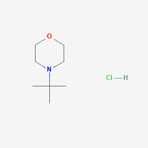molecular formula C8H18ClNO B8144922 4-Tert-butylmorpholine hydrochloride 