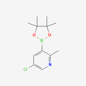 molecular formula C12H17BClNO2 B8145008 5-Chloro-2-methyl-3-(4,4,5,5-tetramethyl-1,3,2-dioxaborolan-2-yl)pyridine 