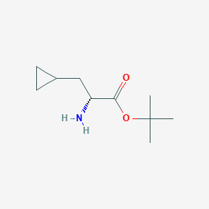 molecular formula C10H19NO2 B8147535 (R)-tert-Butyl 2-amino-3-cyclopropylpropanoate 